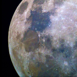 A clear shot of the moon, showing many of its' colors and craters
