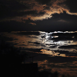 A multitude of stars taken from space